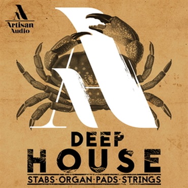 DEEP HOUSE - STABS ORGAN PADS & STRINGS(オンライン納品)(2時間以内に納品)