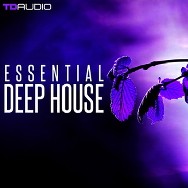 TD AUDIO - ESSENTIAL DEEP HOUSE(オンライン納品)(2時間以内に納品)