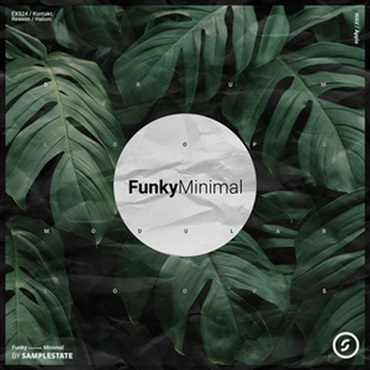 FUNKY MINIMAL(オンライン納品)(2時間以内に納品)