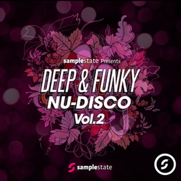 DEEP & FUNKY NU-DISCO 2(オンライン納品)(2時間以内に納品)