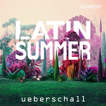 LATIN SUMMER(オンライン納品)(2時間以内に納品)