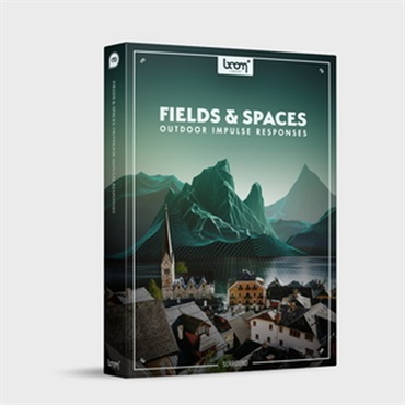 FIELDS & SPACES SURROUND(オンライン納品)(2時間以内に納品)