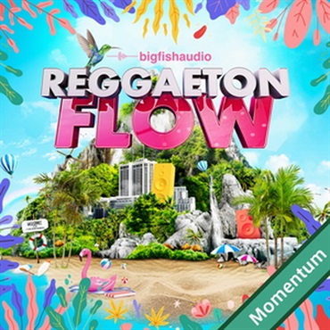 REGGAETON FLOW MMT(オンライン納品)(2時間以内に納品)