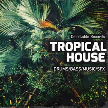 DELECTABLE RECORDS DELECTABLE RECORDS PRESENT - TROPICAL HOUSE 01(オンライン納品)(2時間以内に納品)