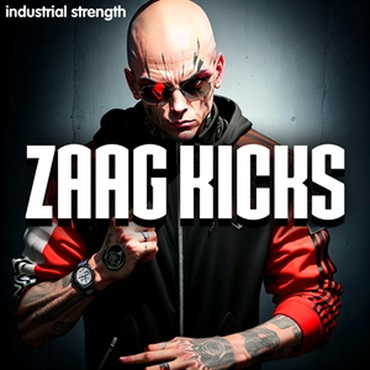 ZAAG KICKS(オンライン納品)(2時間以内に納品)