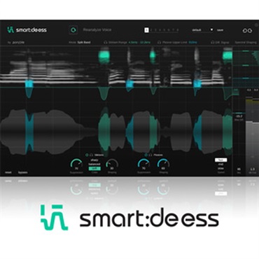SMART:DEESS(オンライン納品)(2時間以内に納品)