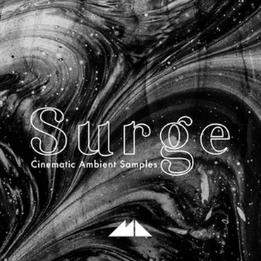 SURGE(オンライン納品)(2時間以内に納品)
