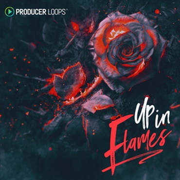 UP IN FLAMES(オンライン納品)(2時間以内に納品)