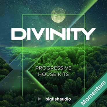 DIVINITY - PROGRESSIVE HOUSE KITS MMT(オンライン納品)(2時間以内に納品)