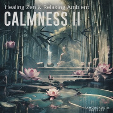 CALMNESS VOL. 2(オンライン納品)(2時間以内に納品)
