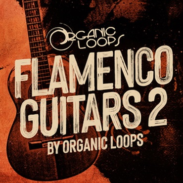 FLAMENCO GUITARS 2(オンライン納品)(2時間以内に納品)