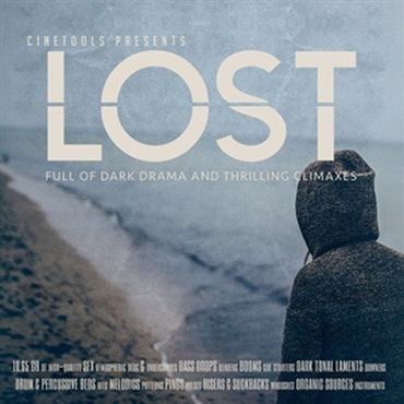 LOST(オンライン納品)(2時間以内に納品)