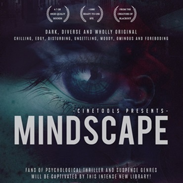 MINDSCAPE(オンライン納品)(2時間以内に納品)