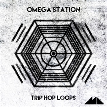 OMEGA STATION(オンライン納品)(2時間以内に納品)
