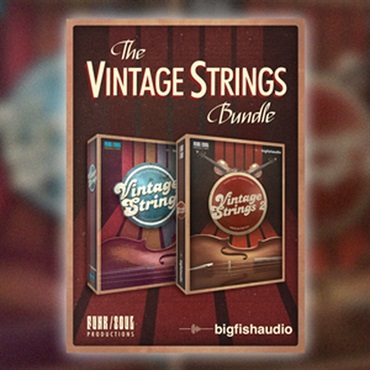 VINTAGE STRINGS BUNDLE(オンライン納品)(2時間以内に納品)
