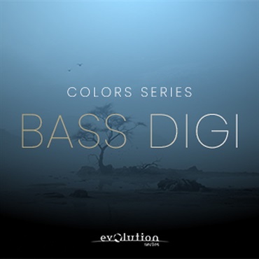 WORLD COLORS BASS DIZI(オンライン納品)(2時間以内に納品)