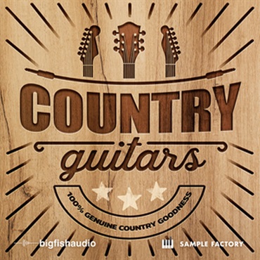 COUNTRY GUITARS(オンライン納品)(2時間以内に納品)