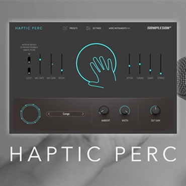 SAMPLESON HAPTIC PERC(オンライン納品)(2時間以内に納品)