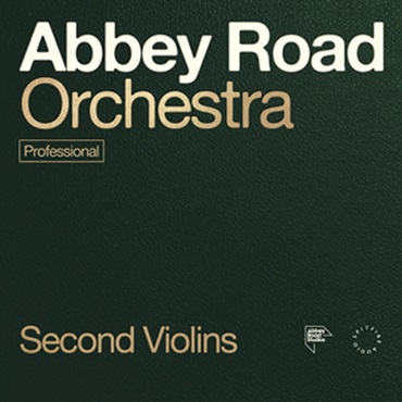 ABBEY ROAD ORCHESTRA: 2ND VIOLINS PRO(オンライン納品)(2時間以内に納品)