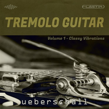 TREMOLO GUITAR(オンライン納品)(2時間以内に納品)