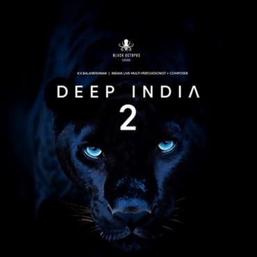 DEEP INDIA VOL 2(オンライン納品)(2時間以内に納品)