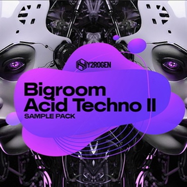 BIGROOM ACID TECHNO 2(オンライン納品)(2時間以内に納品)