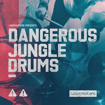 DANGEROUS JUNGLE BREAKS(オンライン納品)(2時間以内に納品)