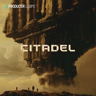 CITADEL(オンライン納品)(2時間以内に納品)