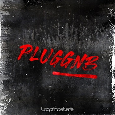 PLUGGNB(オンライン納品)(2時間以内に納品)