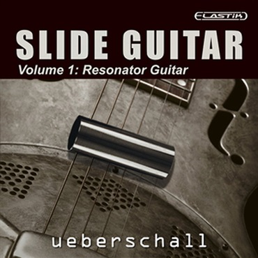 SLIDE GUITAR(オンライン納品)(2時間以内に納品)