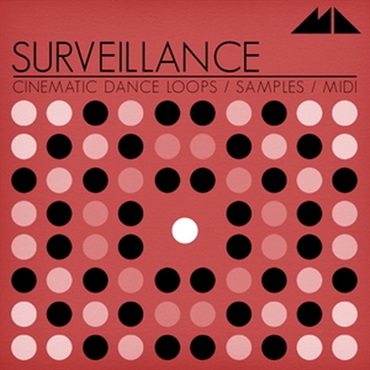 MODEAUDIO SURVEILLANCE(オンライン納品)(2時間以内に納品)