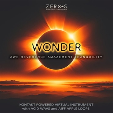 【ゼロジー「PALETTES」シリーズセール！】WONDER(オンライン納品)(2時間以内に納品)