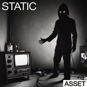 STATIC - ASSET(オンライン納品)(2時間以内に納品)