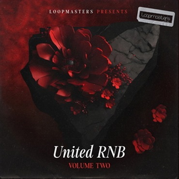 UNITED RNB VOL 2(オンライン納品)(2時間以内に納品)