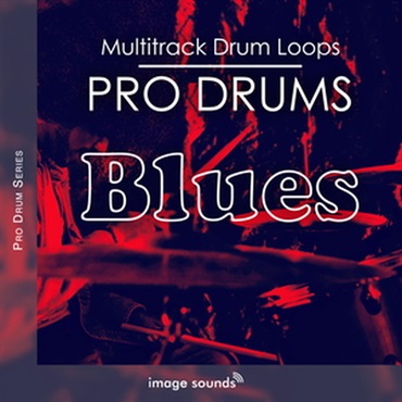PRO DRUMS BLUES(オンライン納品)(2時間以内に納品)