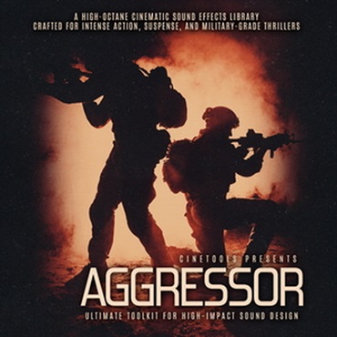 AGGRESSOR(オンライン納品)(2時間以内に納品)