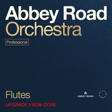 ABBEY ROAD ORCHESTRA: FLUTES PRO UPG FROM CORE(オンライン納品)(2時間以内に納品)