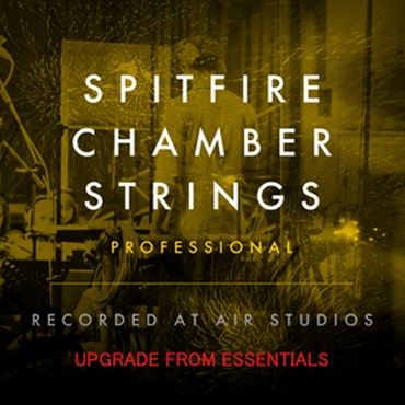 CHAMBER STRINGS PRO UPG FROM ESSENTIALS(オンライン納品)(2時間以内に納品)