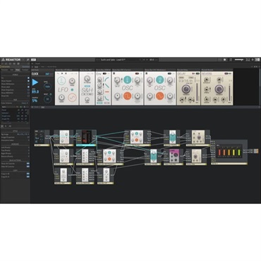 Reaktor 6(オンライン納品)(2時間以内に納品)