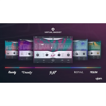 Virtual Bassist Bundle(オンライン納品)(2時間以内に納品)