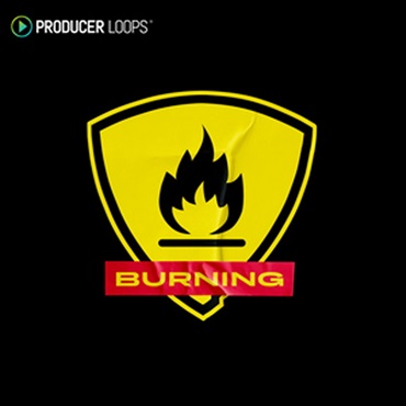 BURNING(オンライン納品)(2時間以内に納品)