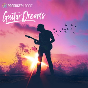 PRODUCER LOOPS GUITAR DREAMS(オンライン納品)(2時間以内に納品)