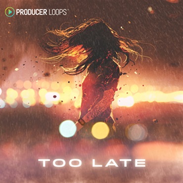 PRODUCER LOOPS TOO LATE(オンライン納品)(2時間以内に納品)
