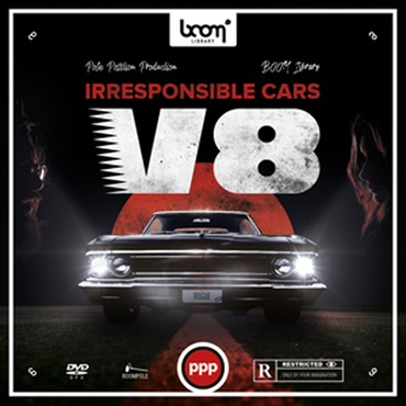 CARS - V8(オンライン納品)(2時間以内に納品)