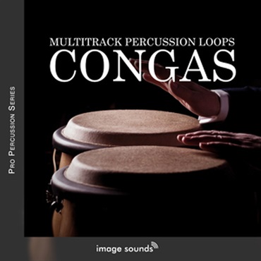 CONGAS(オンライン納品)(2時間以内に納品)