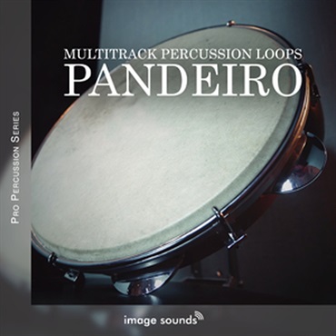 PANDEIROS(オンライン納品)(2時間以内に納品)