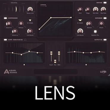 LENS(オンライン納品)(2時間以内に納品)