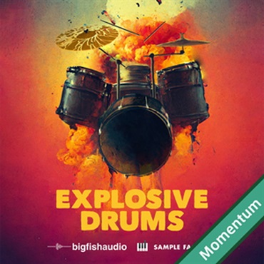 BIG FISH AUDIO EXPLOSIVE DRUMS(オンライン納品)(2時間以内に納品)