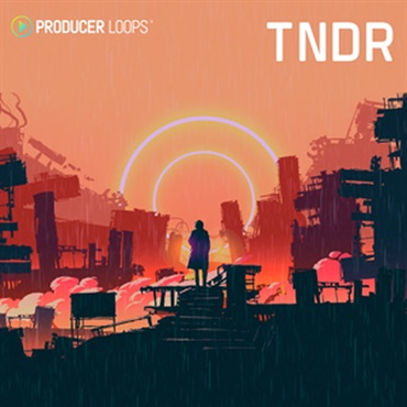 PRODUCER LOOPS TNDR(オンライン納品)(2時間以内に納品)