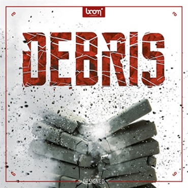 DEBRIS - DESIGNED(オンライン納品)(2時間以内に納品)